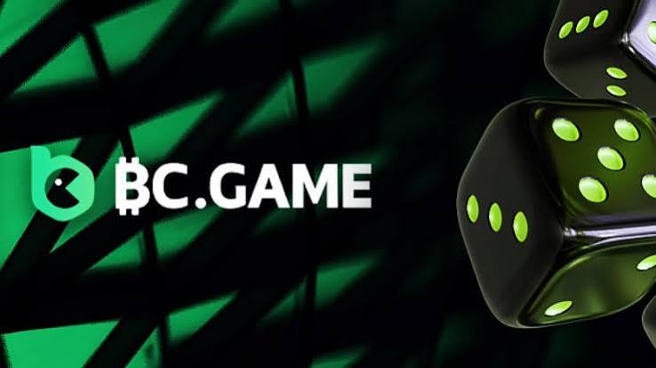 Understanding the BC.Game Login Process -370061979